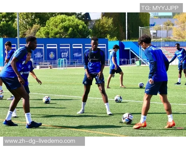 足球的cf：探索足球文化与技术的深度融合与未来发展趋势